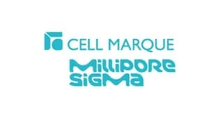 Imagen de apertura de la seccion Cell Marque